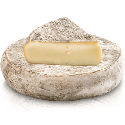 saint-nectaire fromage