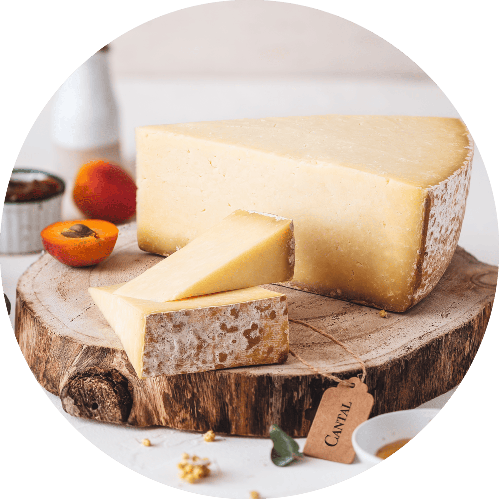 cantal fromage