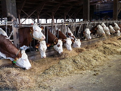 Ferme de la Rose des Vents