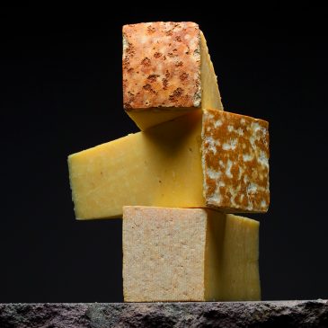 Le Cantal, un fromage en trois temps