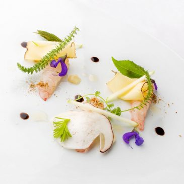 Langoustines cuites/crues, Saint-Nectaire, condiment citron