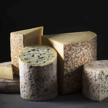 S’initier à la caséologie, l’art de déguster le fromage