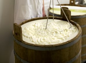 Appellation 100 % fermière : découvrez les secrets de fabrication du fromage AOP Salers