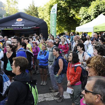 Partez à la rencontre des Fromages AOP d’Auvergne !