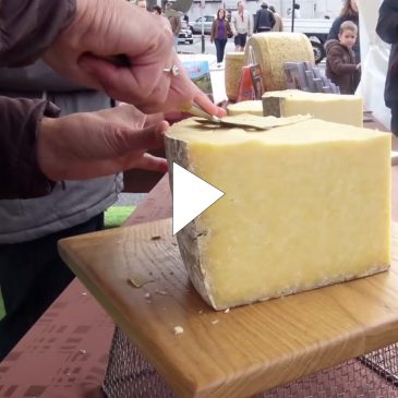 Le fromage AOP Salers en dégustation à la Foire de la Saint-Géraud 2017