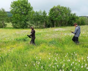 Projet pour une connaissance et reconnaissance des prairies naturelles de l’AOP Saint-Nectaire