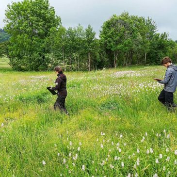 Projet pour une connaissance et reconnaissance des prairies naturelles de l’AOP Saint-Nectaire