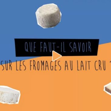 Vidéo : que faut il savoir sur les fromages au lait cru ?