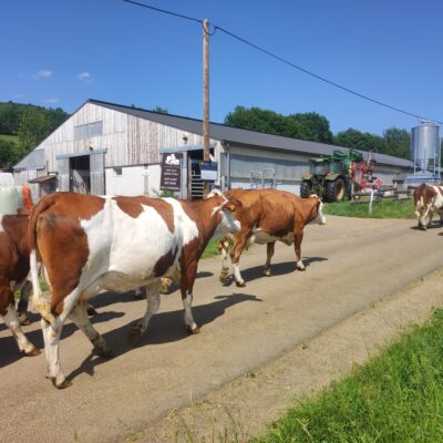 GAEC de la Bonne Etoile