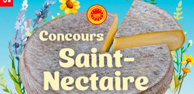 Concours Officiel de l&rsquo;AOP Saint-Nectaire